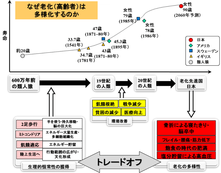 なぜ老化（高齢者）は多様化するのか